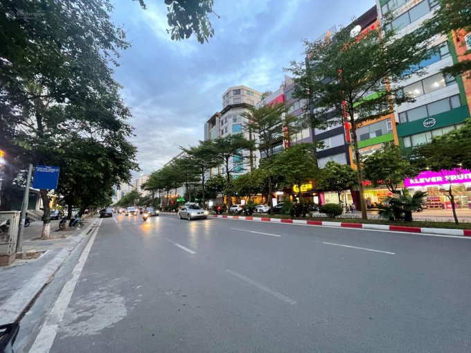 Trần Thái Tông